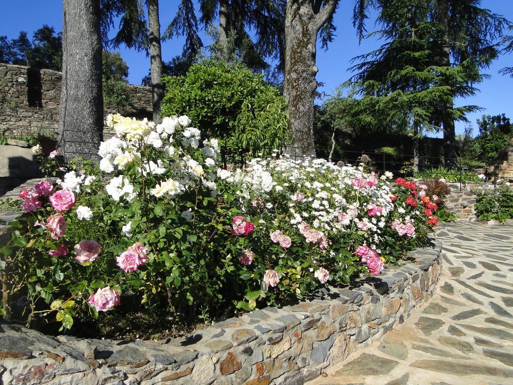 Vila Maria Castelo de Vide Exterior photo